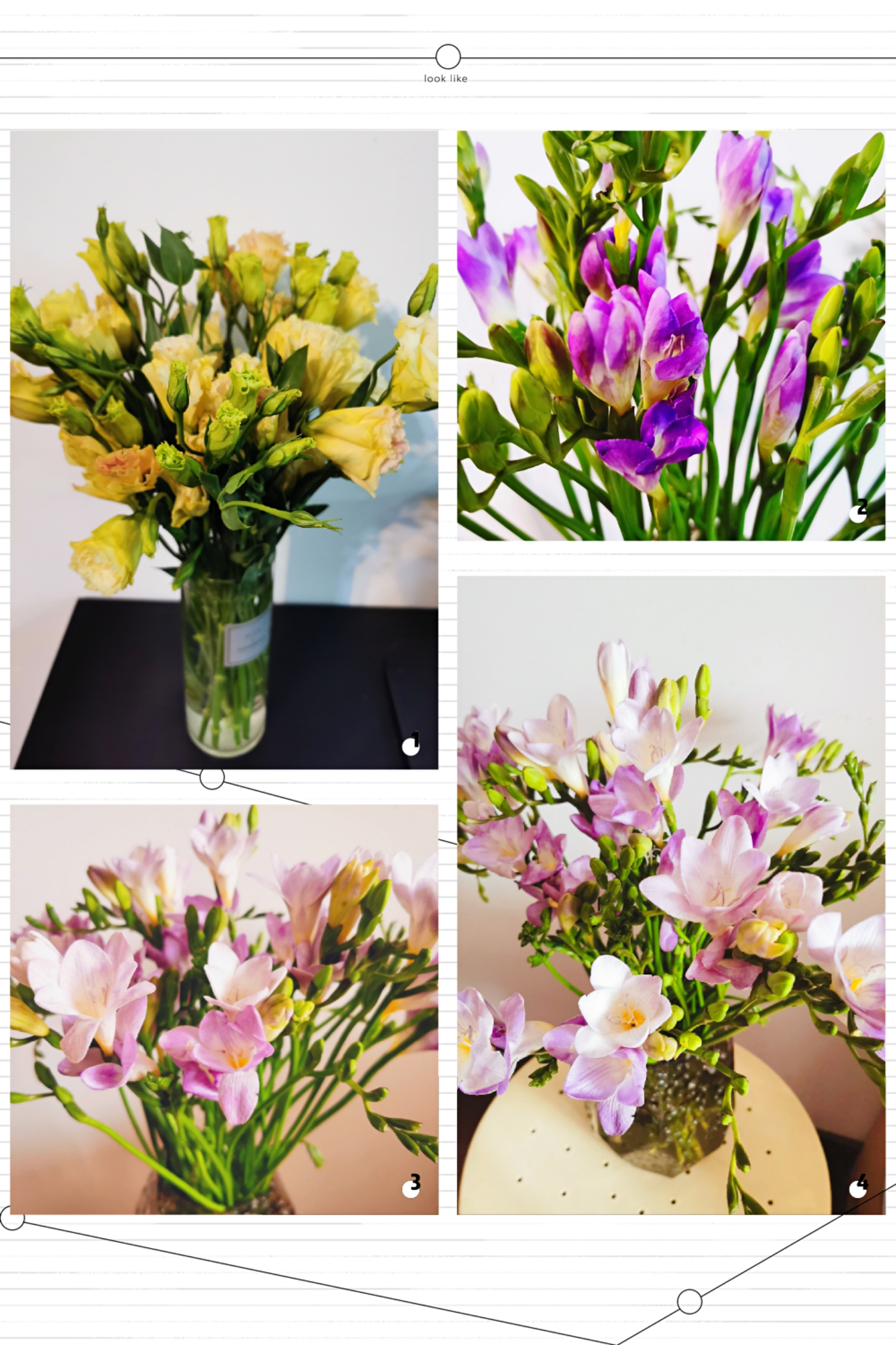 Happy Women’s Day | 戰(zhàn)疫時期，這個三八節(jié)，我們“e”起過！